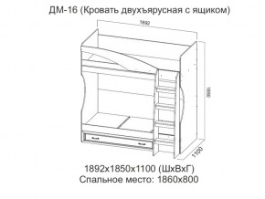 ДМ-16 Кровать двухъярусная с ящиком в Камышлове - kamyshlov.magazin-mebel74.ru | фото