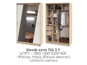 шкаф-купе ПШ-2.9 1500 Норд Белый жемчуг 1500 в Камышлове - kamyshlov.magazin-mebel74.ru | фото