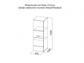 Шкаф навесной (глухой) Левый в Камышлове - kamyshlov.magazin-mebel74.ru | фото